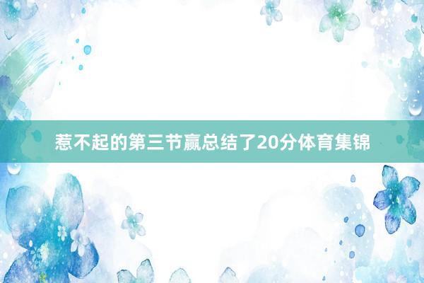 惹不起的第三节赢总结了20分体育集锦