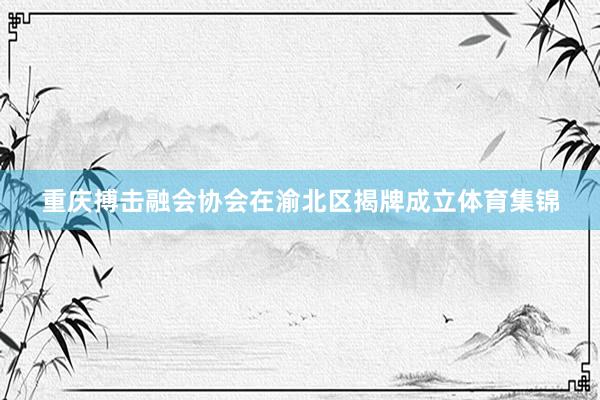 重庆搏击融会协会在渝北区揭牌成立体育集锦