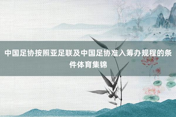 中国足协按照亚足联及中国足协准入筹办规程的条件体育集锦