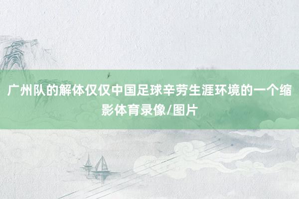 广州队的解体仅仅中国足球辛劳生涯环境的一个缩影体育录像/图片