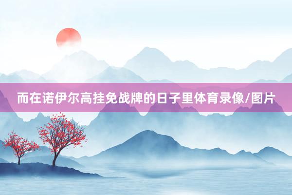 而在诺伊尔高挂免战牌的日子里体育录像/图片