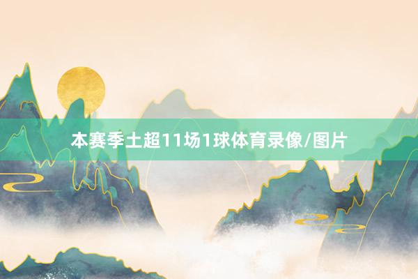 本赛季土超11场1球体育录像/图片