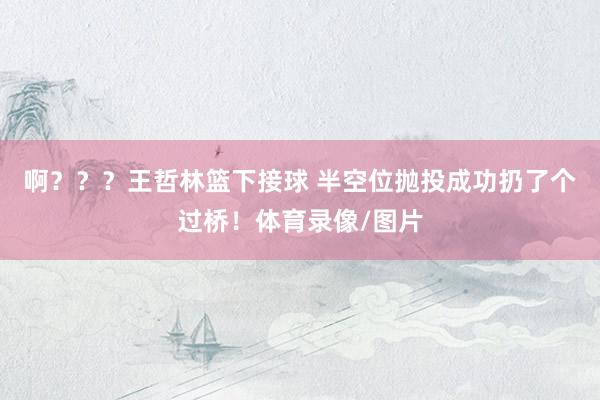 啊？？？王哲林篮下接球 半空位抛投成功扔了个过桥！体育录像/图片