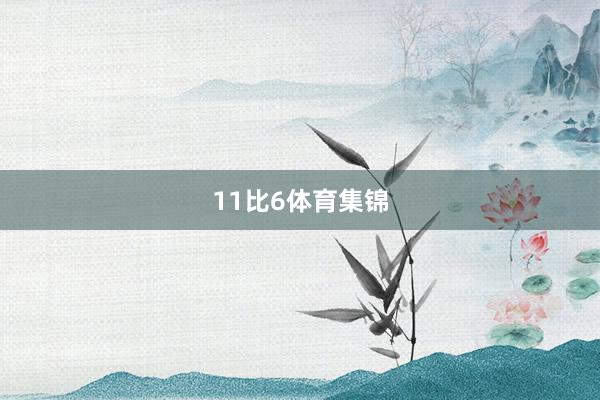 11比6体育集锦