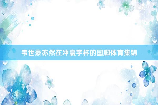 韦世豪亦然在冲寰宇杯的国脚体育集锦