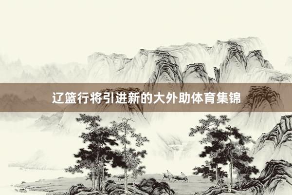 辽篮行将引进新的大外助体育集锦
