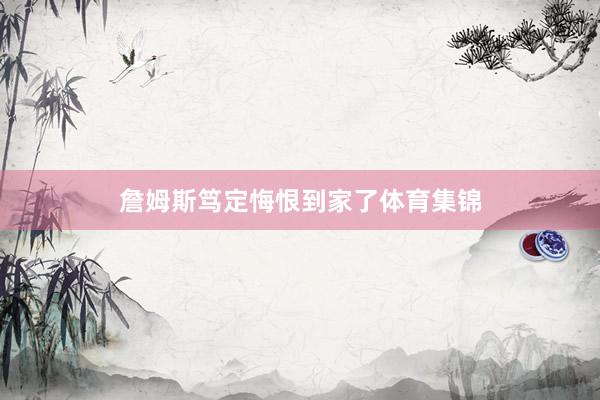 詹姆斯笃定悔恨到家了体育集锦