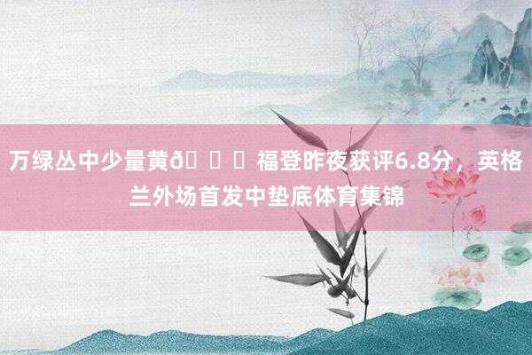 万绿丛中少量黄😅福登昨夜获评6.8分，英格兰外场首发中垫底体育集锦