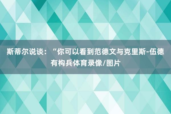 斯蒂尔说谈：“你可以看到范德文与克里斯-伍德有构兵体育录像/图片