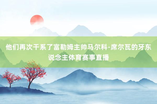 他们再次干系了富勒姆主帅马尔科-席尔瓦的牙东说念主体育赛事直播