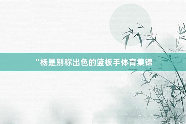 “杨是别称出色的篮板手体育集锦