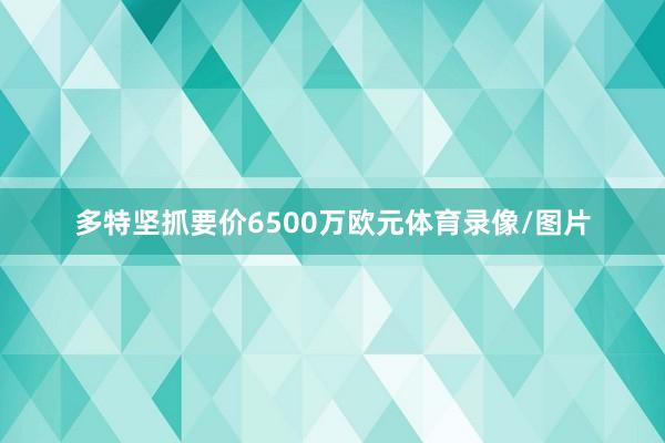 多特坚抓要价6500万欧元体育录像/图片