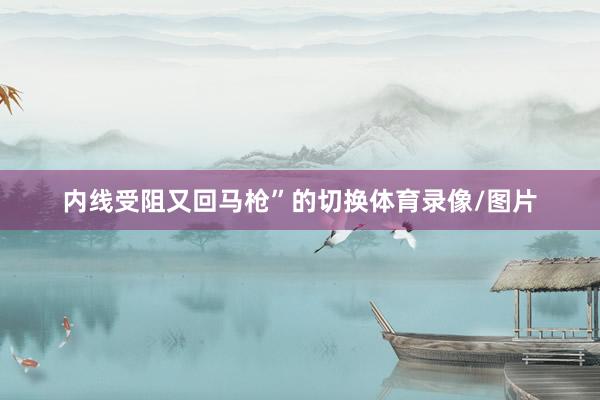 内线受阻又回马枪”的切换体育录像/图片