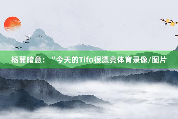 杨翼暗意:“今天的Tifo很漂亮体育录像/图片