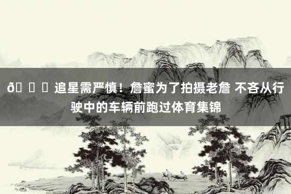 🙏追星需严慎！詹蜜为了拍摄老詹 不吝从行驶中的车辆前跑过体育集锦