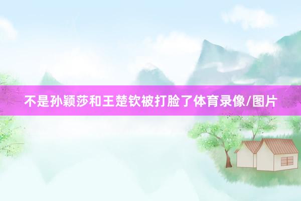 不是孙颖莎和王楚钦被打脸了体育录像/图片